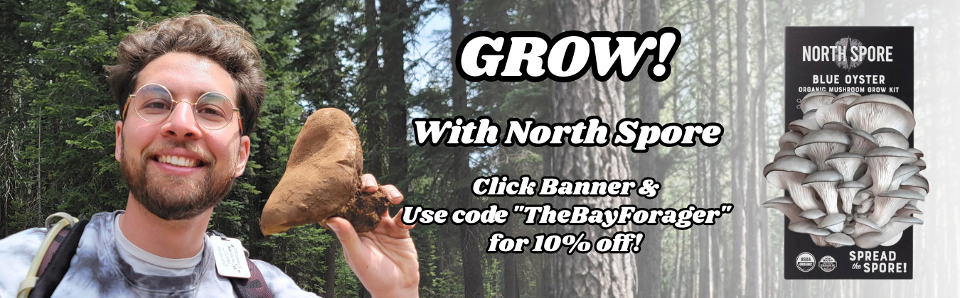 North Spore: grow your own mushrooms. Use code TheBayForager for 10% off.